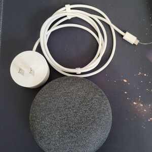 Gray Smart Speaker with Charger